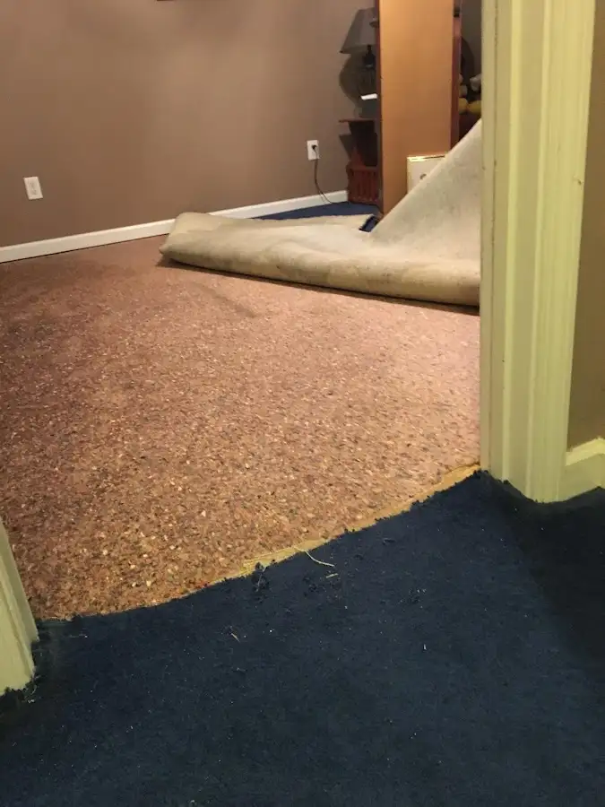 Carpet pad removal revealing water damage during Drying & Dehumidification in Garden Home-Whitford