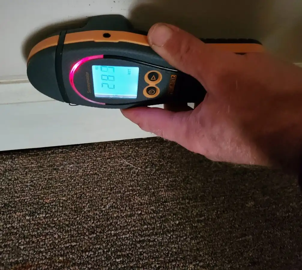 Moisture detection at baseboard during Burst Pipe Cleanup in Garden Home-Whitford